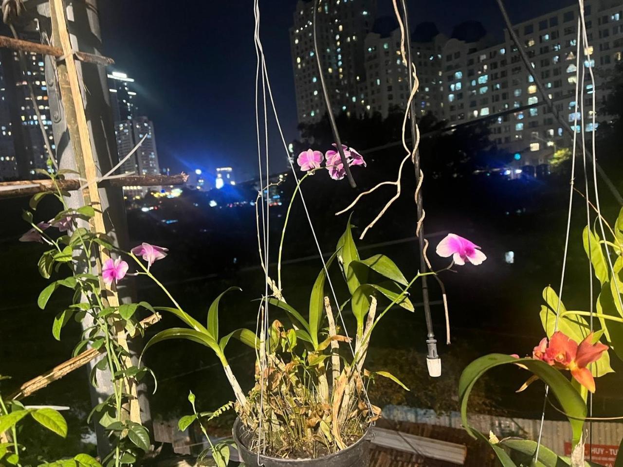 May House Binhthanh Thành Pho Ho Chí Minh Esterno foto